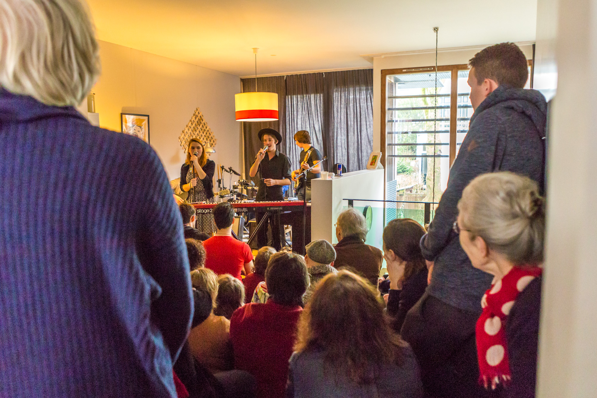 Muziek in 96 Haarlemse huiskamers De Heemsteder