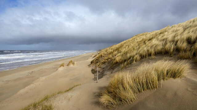 Strand-en-duin-Foto-Ronald-van-Wijk-640x360